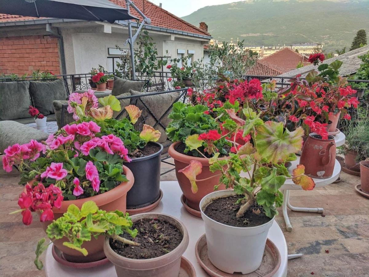 Apartments Evelyn Ohrid Esterno foto